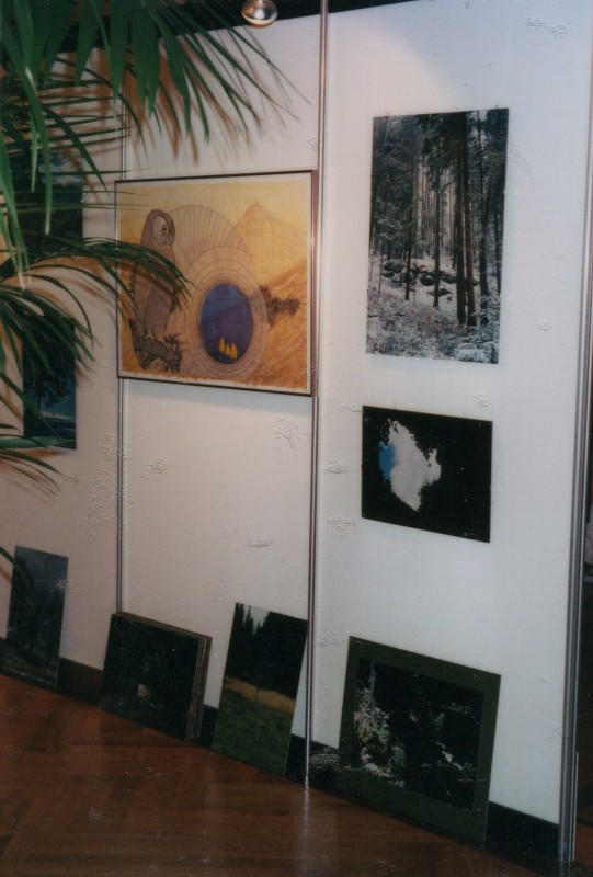 Ausstellung Lebenskraft 95